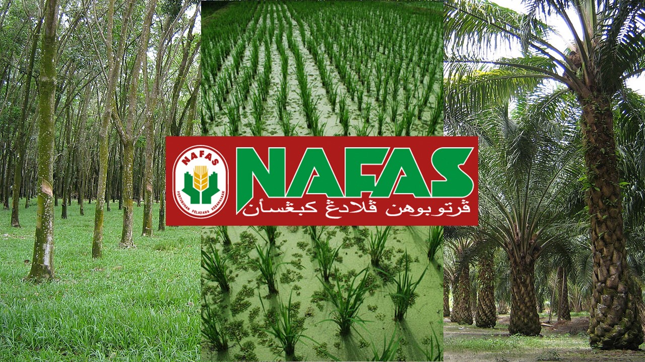 NAFAS Malaysia Fertiliser Farm Agriculture